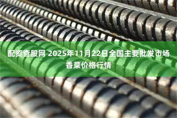 配资查股网 2025年11月22日全国主要批发市场香菜价格行情