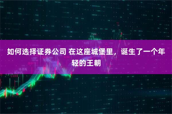 如何选择证券公司 在这座城堡里，诞生了一个年轻的王朝